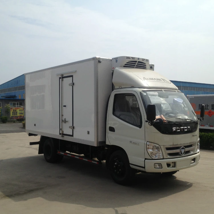 Foton gasoline cargo truck