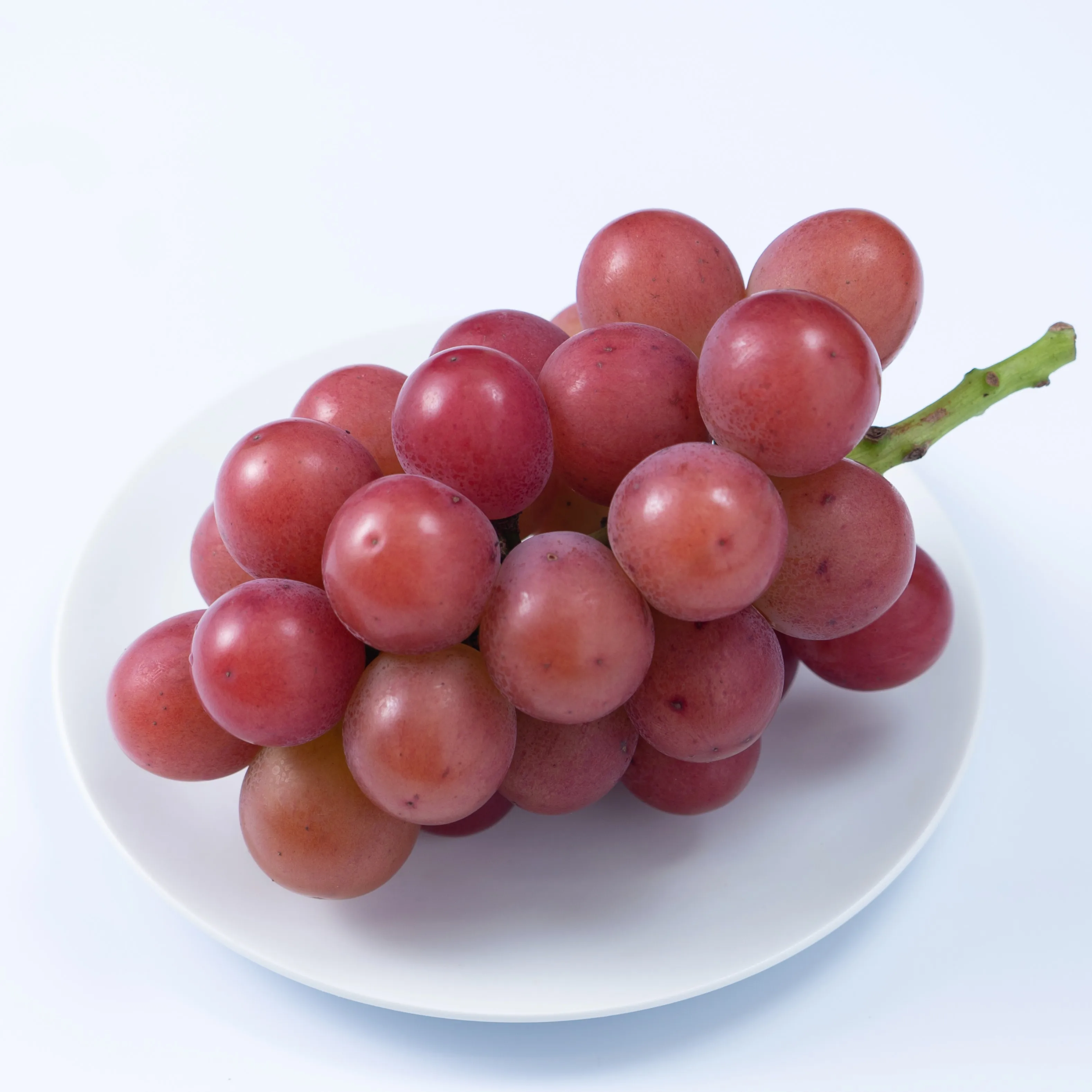 High quality fresh fruit export Japan flavor grapes wholesale