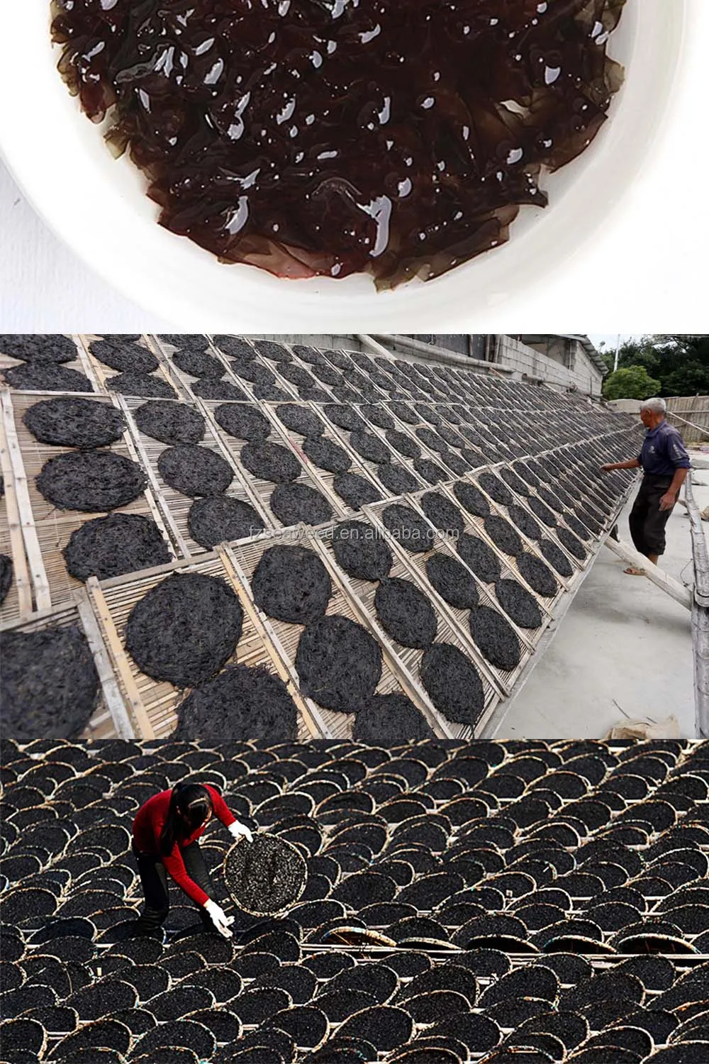 Sheets roasted seaweed laver yaki sushi nori