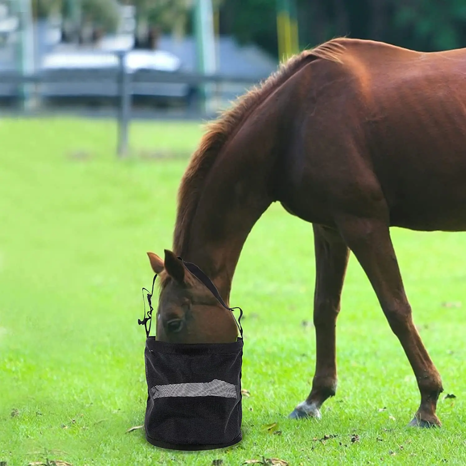Horshi Portable Feeder hay net Mini Horse feed bag  S Size