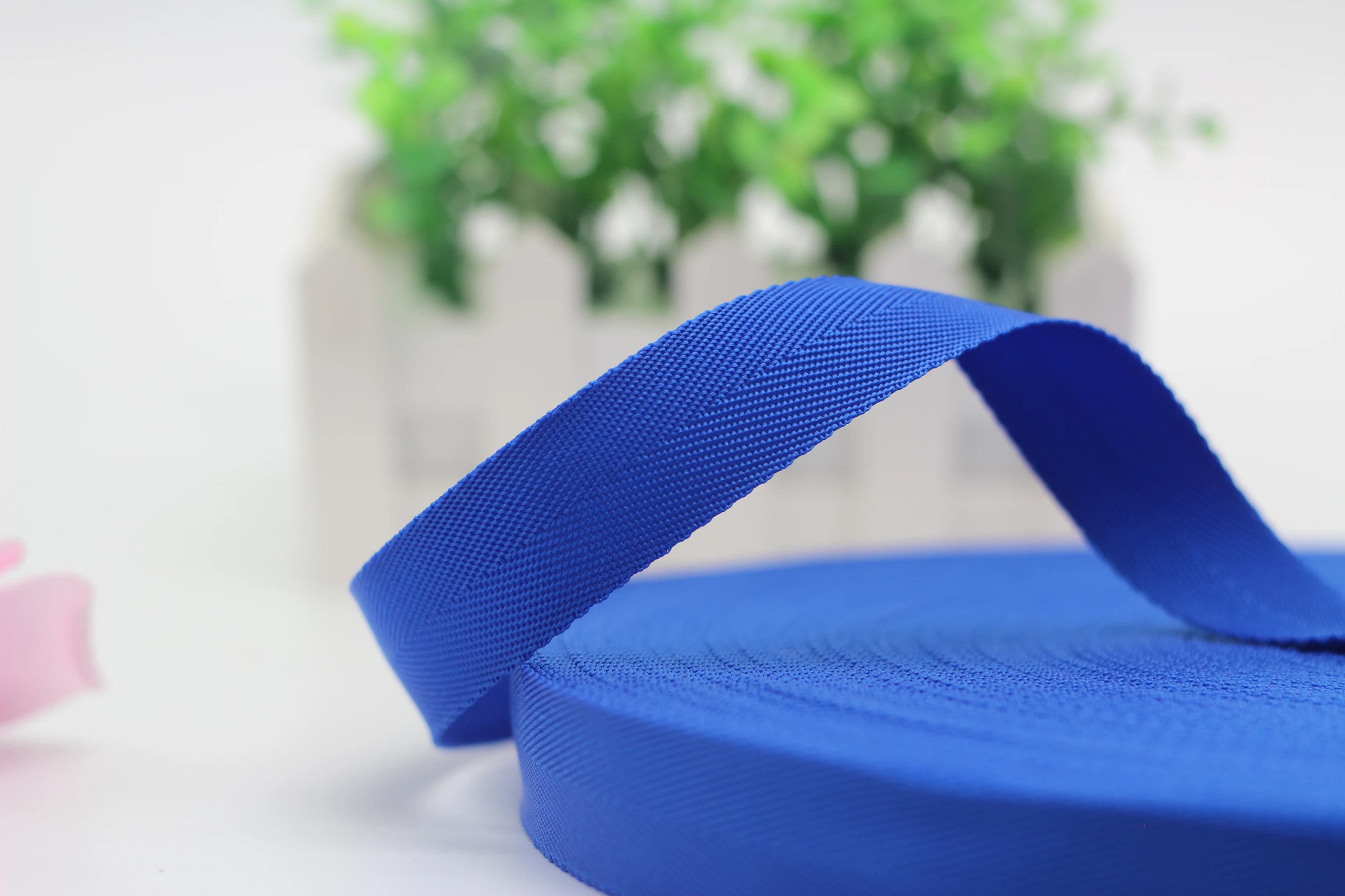 China Manufacturer supply twill weave 23mm polypropylene Webbing schoolbag Covered edge straps