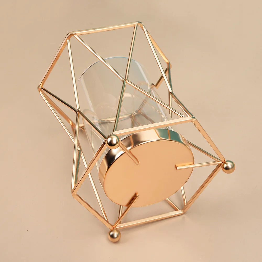 Ваза INS в металлической золотой рамке настольный Большой калибр Геометрическая прозрачная гидропонная стеклянная декоративная ваза для