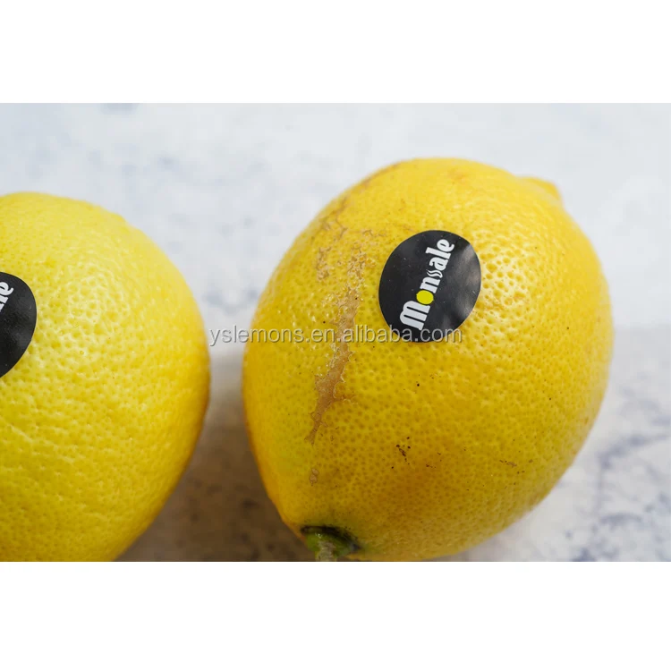 Montale Size 88 100 113 125 138 Fresh Wholesale Eureka Lemon
