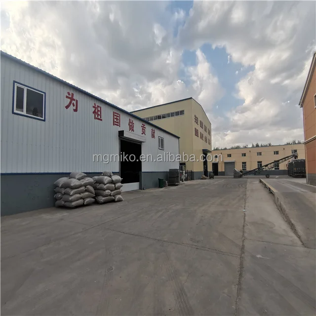 Top Choice Vegetable Seeds Pumpkin Seeds Green Squash Seeds with Premium Quality