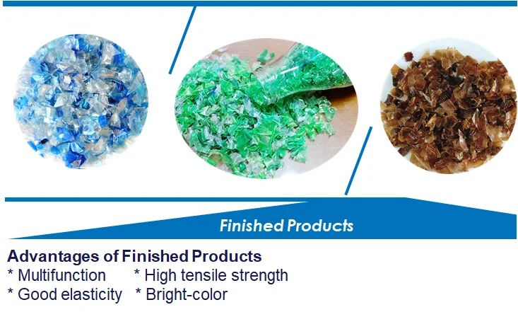 pet flakes machine 5.png