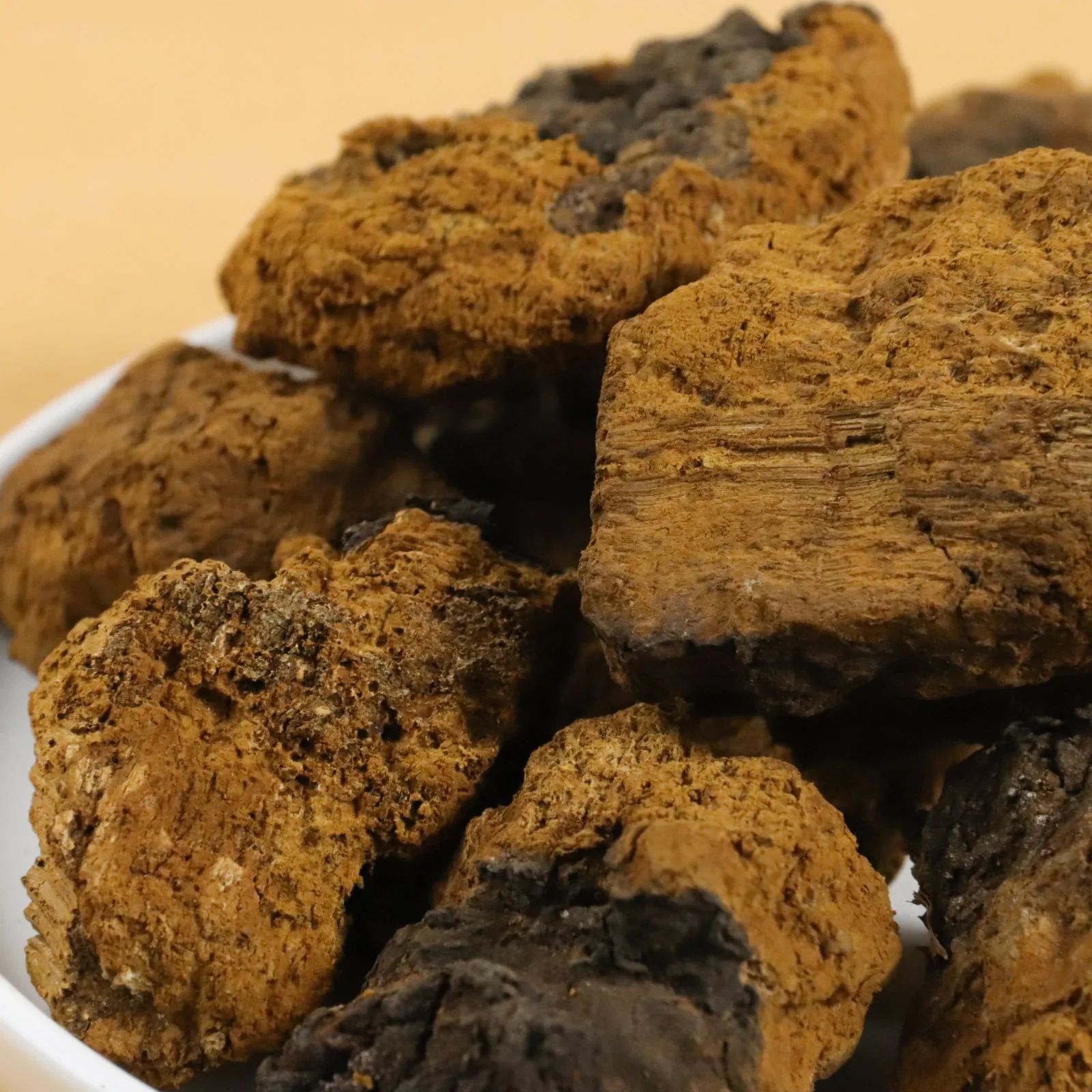 High Quality Bulk dried chaga fungus black chaga mushroom extract
