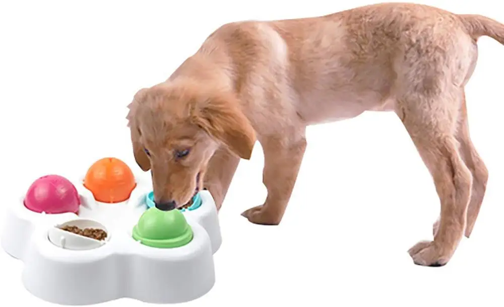 Pet IQ Intelligent Toy Smart Dog Puzzle Toys for Beginner Puppy Training Treat Dispenser Interactive Dog Toys