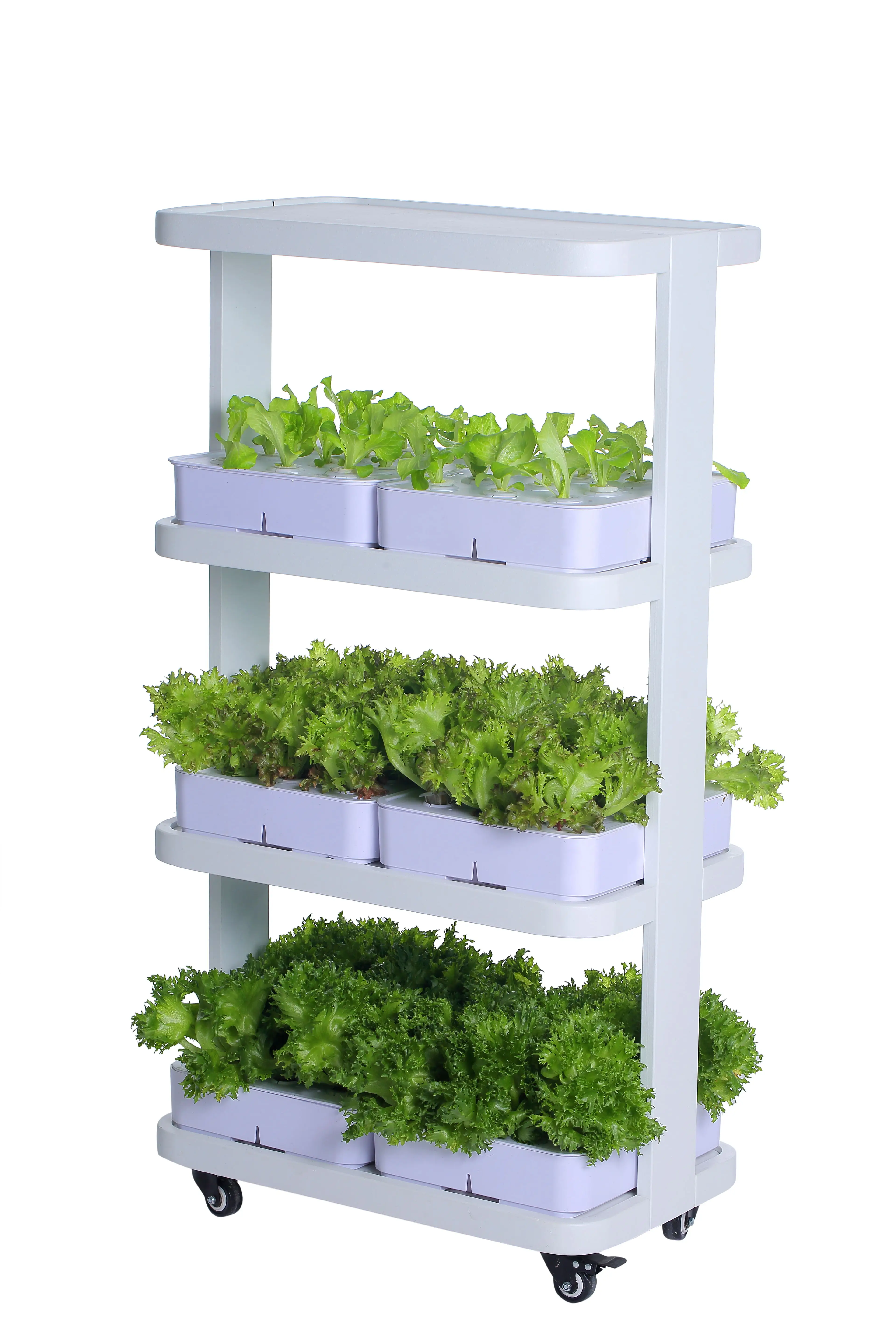 Full Spectrum Indoor Hydroponic Grow Light 3 Layer indoor vegetable growing rack machine for leafy vegetables pepper lettuce