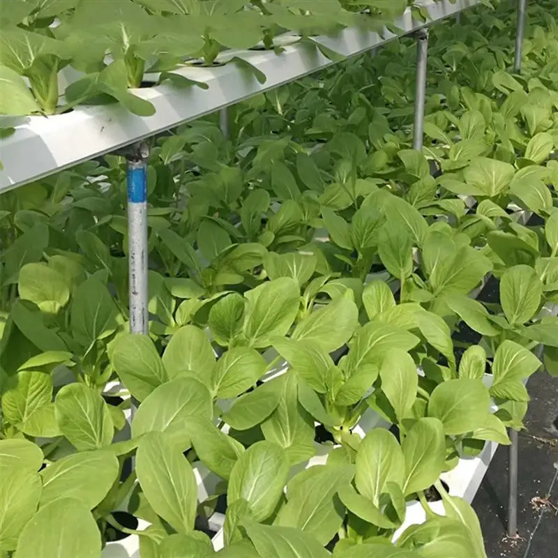 Basket Water Grass Planting Pot For Aquarium 10PCS Plastic Growing Cups Planting Soilless Basket Hydroponics Plastic Home