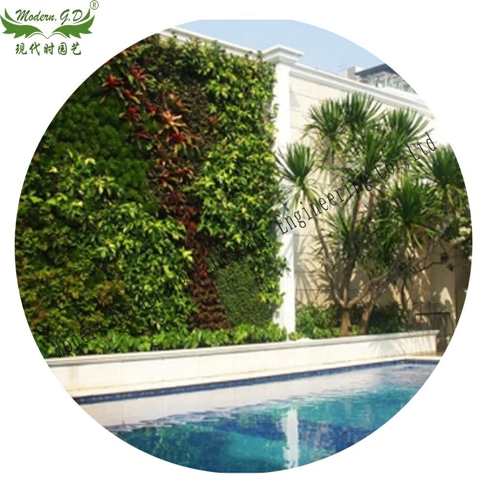 Vertical green planter wall garden pot air plants frame  tillandsia wall  display succulent stand flower