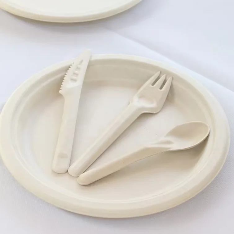 100% Disposable Eco Friendly Cutlery Sugarcane Bagasse Pulp Cutlery Sugar Cane Paper Knife Spoon Fork