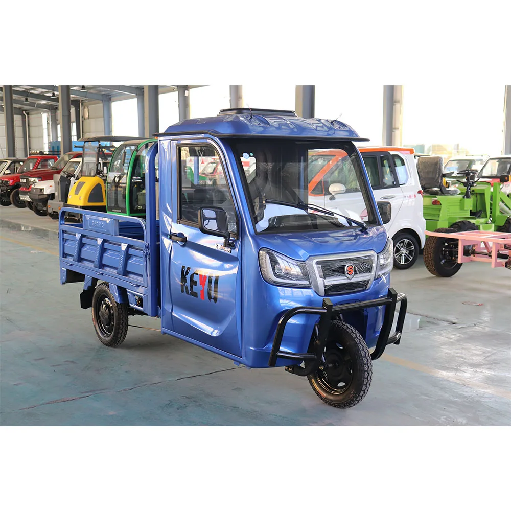 KEYU new car 1 seater electric passenger closed tricycles cargo with dry cell for adults mini car