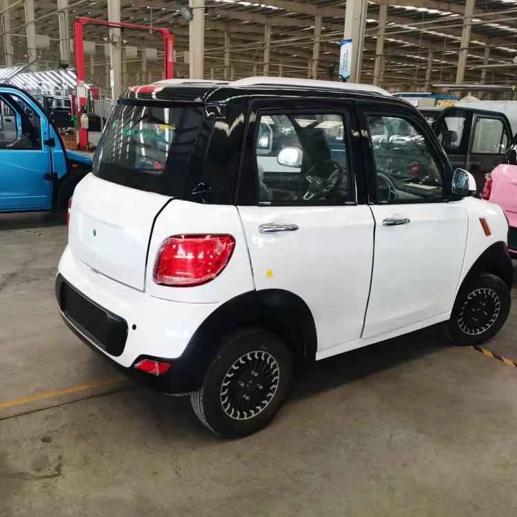 My sole vice is fast automobiles electric vehicles