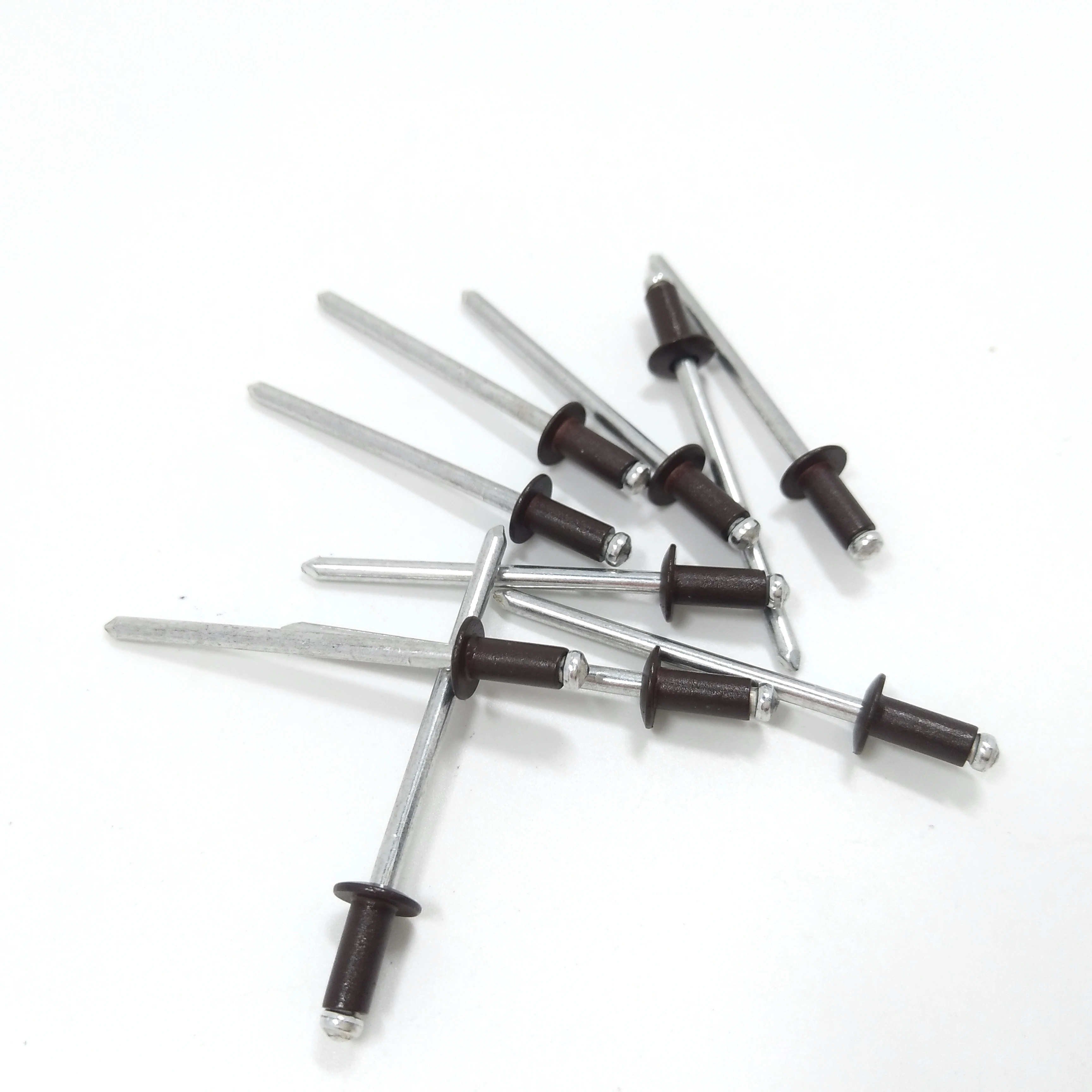Blind Rivet Stainless Steel Csk Open End Type Round Head 1/8 X1/2 Pop Rivets