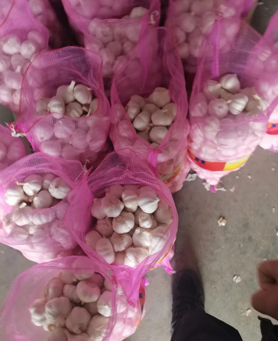 Factory direct garlic cheap new garlic Chinese garlic