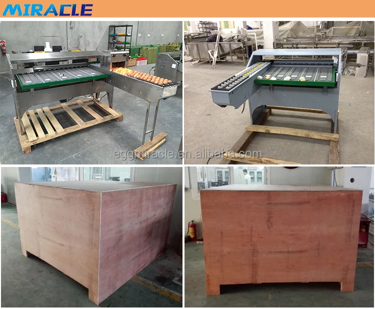 packing of grading machine.jpg