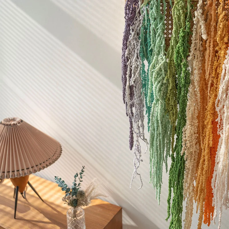 Fantastic New Product Hanging Rice, Natural Dried Flower Tail, Amaranth, Home and Homestay Decoration Photography Prop