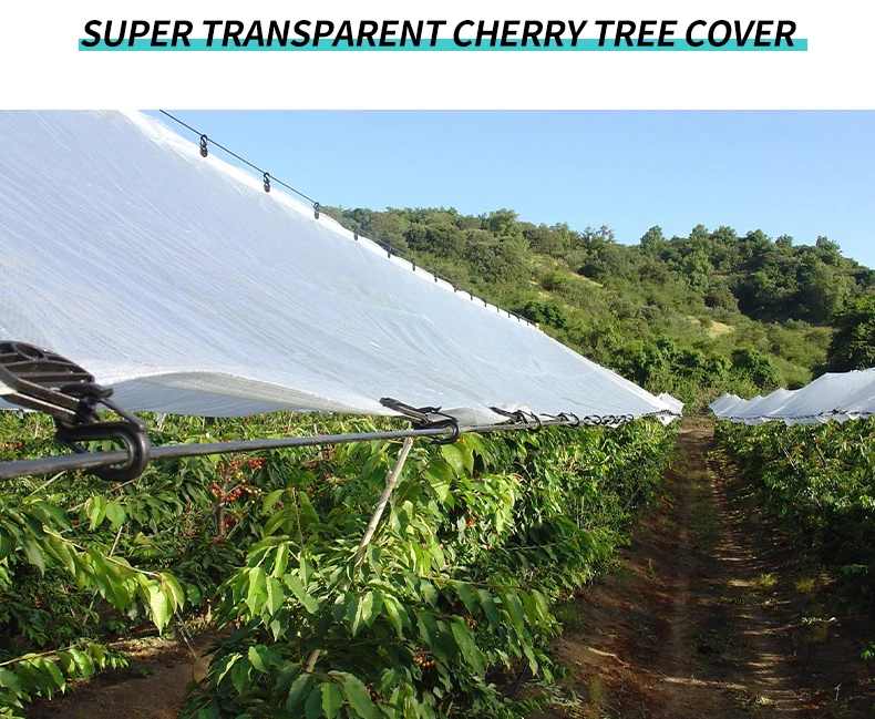 fire retardant poly tarp tent waterproof heavy duty PE Scaffolding mesh Tarpaulin for construction