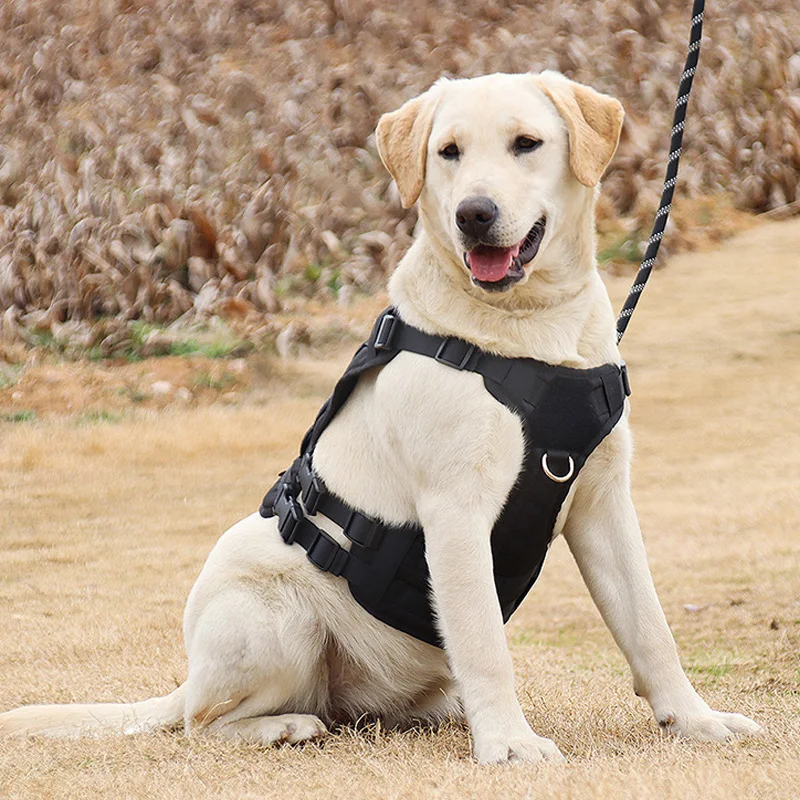 Pet Supplier Outdoor Training Vest Pet harness No pull Tactical Dog harness with Soft Mesh Padding