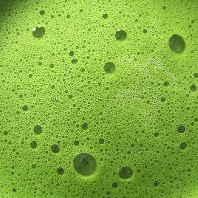 Custom Private Label Premium 1kg Matcha powder containing sugar 3 in 1 Matcha OEM/ODM milk tea ingredients