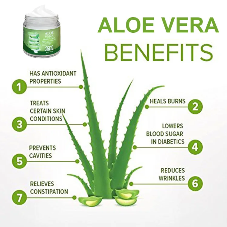
Natural Skin Revitalizer Face Cream Soothing Whitening Aloe Vera Moisture Cream 