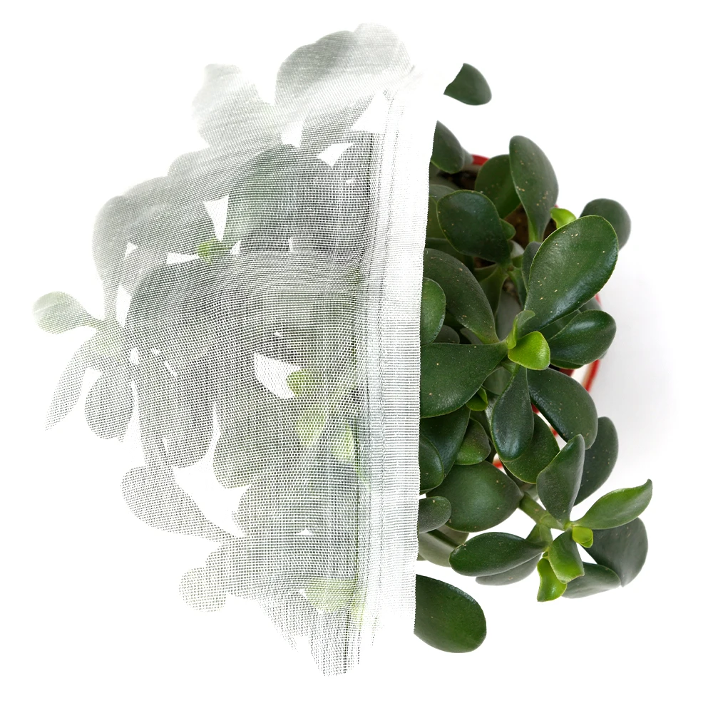 High quality 50 mesh anti insect net 135g made by high quality factories