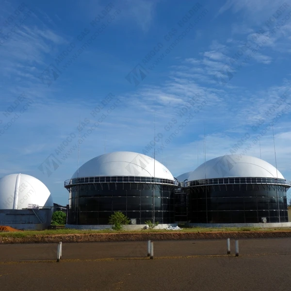 BIOGAZ крыши для biodigester фабрики отходов Биогазовая