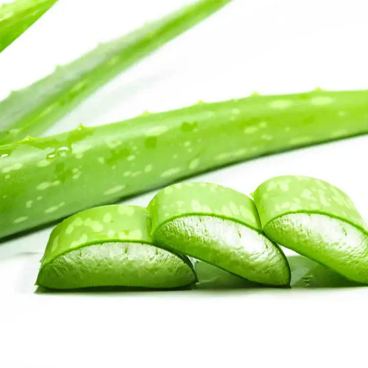 
Aloe Vera Extract Aloe Barbadensis Leaf Extract Liquid 