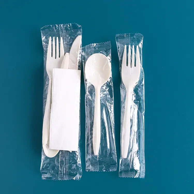 Disposable Plastic Cutlery Sets with Napkin Fork Spoon Knife and Pepper Salt Bag
