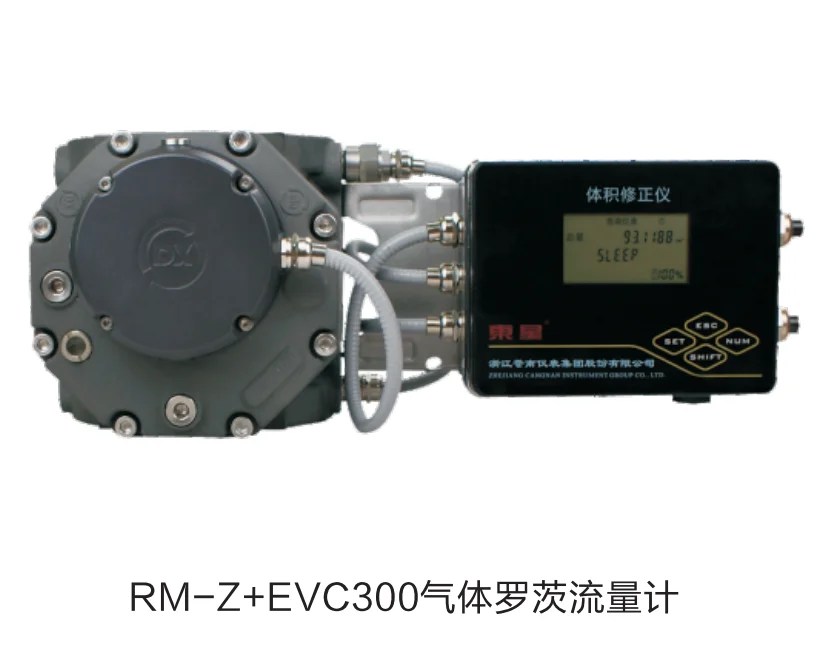 
RM Series rotary gas meter 