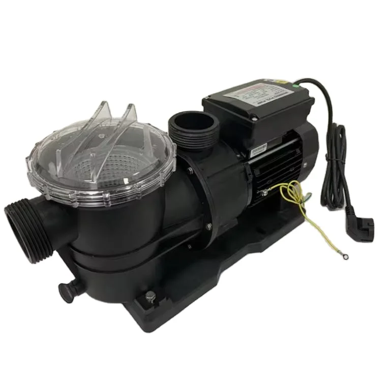 High-pressure Customizable European Swimming Pool Pump Pool Filter Pump Sand Filter Pump 50Hz
