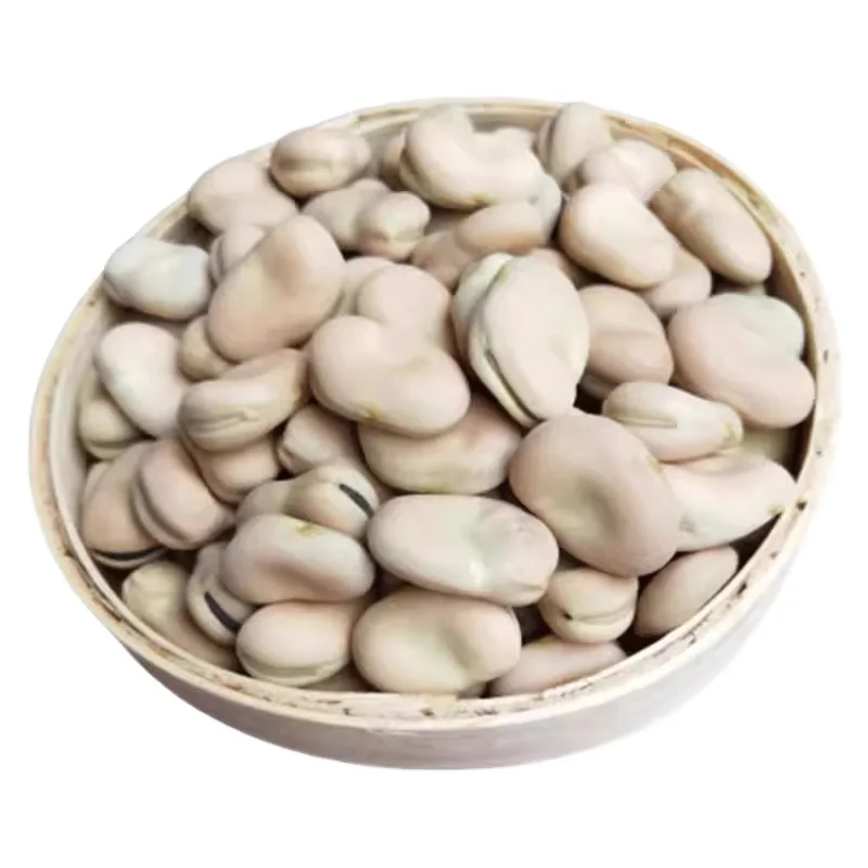 Dried Broad Beans Nuts Good Flavor Cheap Price Green Brown Bulk Dry Fava beans For Make Canned Broad Beans