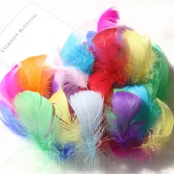 Лидер продаж с фабрики, сумка для карнавала «сделай сам», 100 шт., разноцветное украшение из гусиных перьев