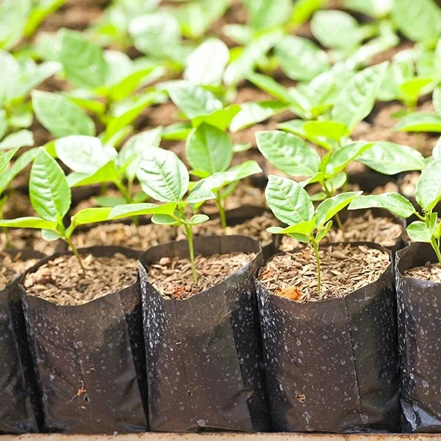 Plastic nursery bags plant seedling bag PE sapling grow bag for fruit trees