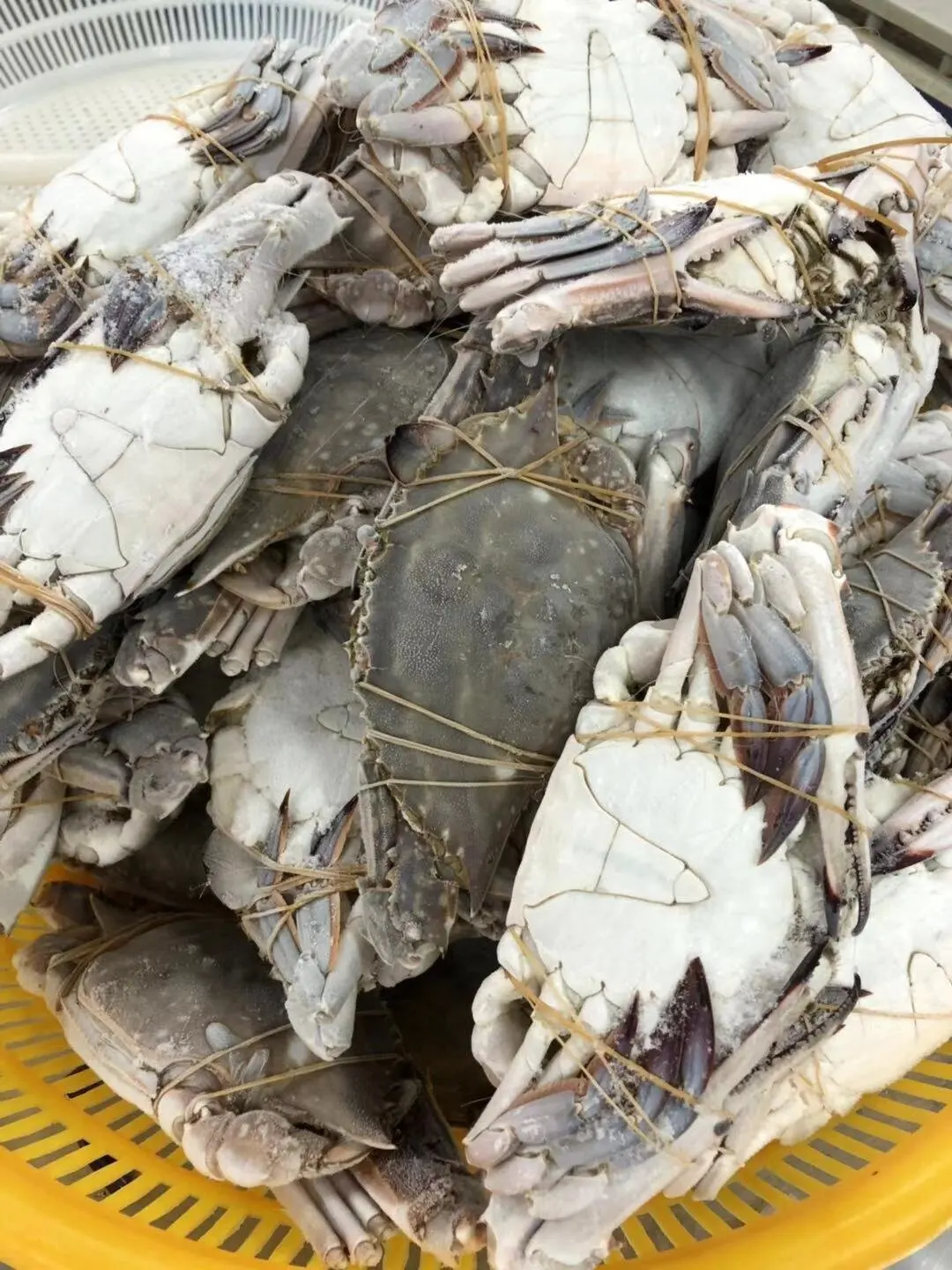 Good taste frozen blue swimming crab meat for EU market