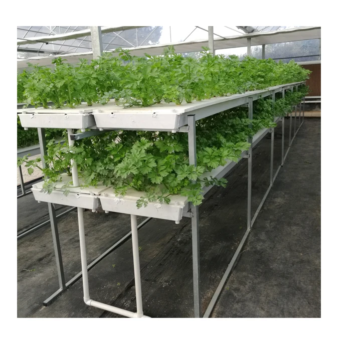 Умные стеклянные теплицы для сельского хозяйства с вертикальной гидропонной системой