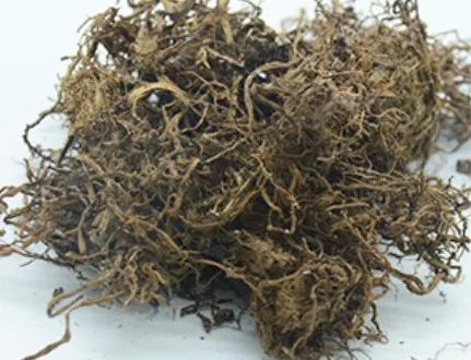 B.C.I ISO Factory 50%~98% Beta-ecdysterone Capsule 500 mg 20-hydroxyecdysone Powder Cas 289-74-7 in Cyanotis Arachnoidea Extract