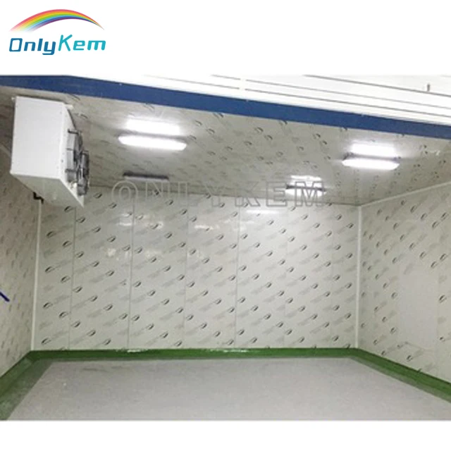 High configuration coldroom and freezer for seadoods and meat