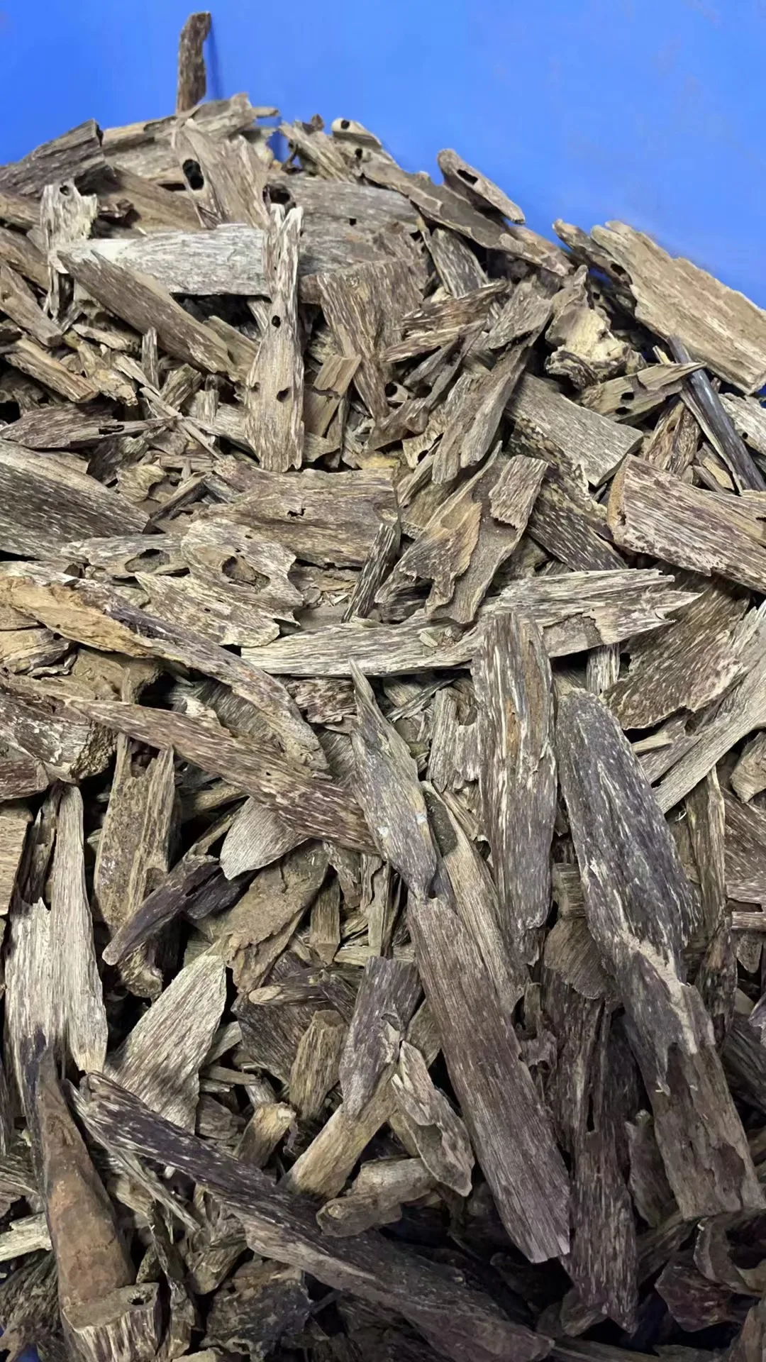 100% Natural High Quality ANT Oud Agarwood Chips Middle East Saudi Favorite aromatic Al Bakhoor Oud