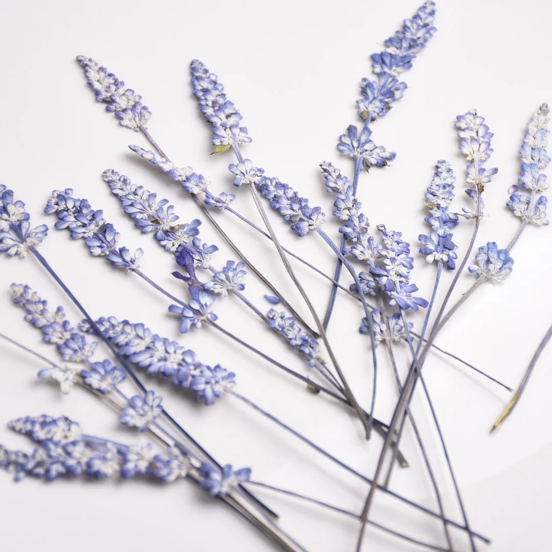 Pure Dried Health Benefit Lavender Bulk Flowers Tea French Buds