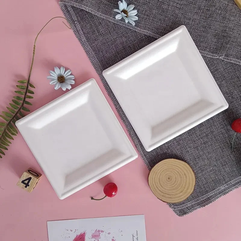 Zero Waste Natural Color Water Resistant Disposable Biodegradable Square 10 Inch Food Plate