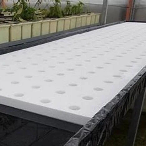 Greenhouse irrigation hydroponic equipment Dwc floating raft