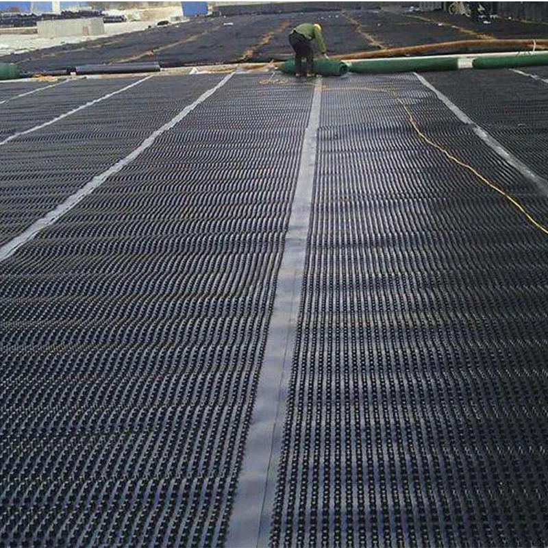 Plastic Drainage Board for Filtering Water on Green Roof of Garage