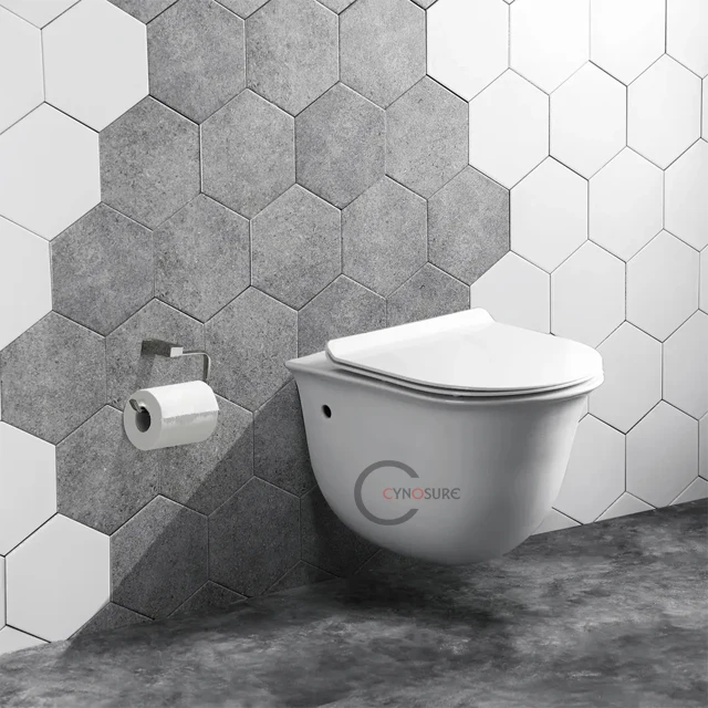 European Modern Wall Hung Wc Toilet Sanitary One Piece for Apartment Bathroom