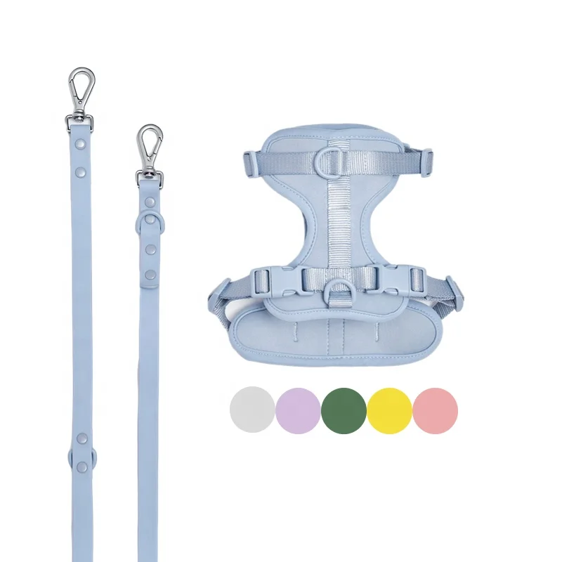 2023 Pet Supplies Manufacturer OEM ODM Training Adjustable Hands Free Waterproof Nylon Dog Harness Pet Collars Leashes Set