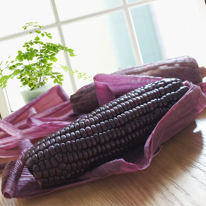 
Hot Selling Natural 100% No Additives Glutinous Sweet Organic Corn 