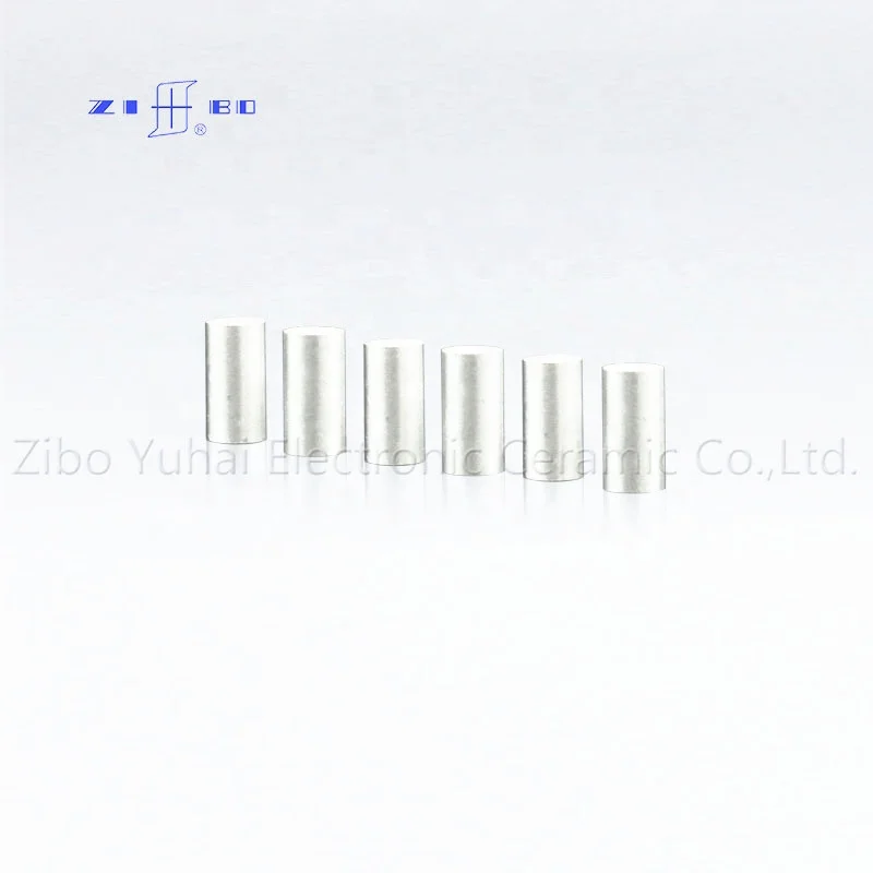 Piezoelectric Ceramics Tube Ultrasonic miniature pzt5 piezo tube for fish tracking