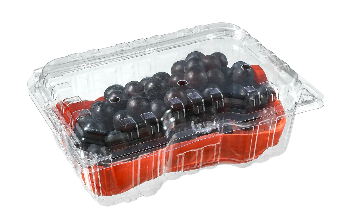 Disposable PET Transparent Clamshell Grape Fruit Packaging Boxes Clear Fruit Plastic Blister fruit hinged container