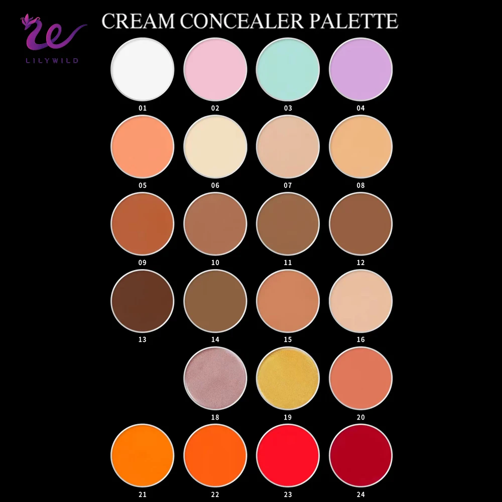 Lilywild Wholesale Oem Full Coverage New Concealer Private Label Creamy Makeup Concealer Palette
