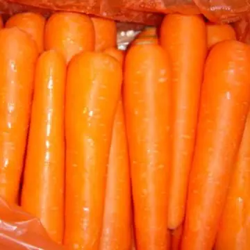  Свежая морковка из Китая (новый урожай в